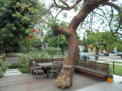 Santa Monica Landscape Design — Landscape Design project by Green Landscape Designs in Santa Monica
