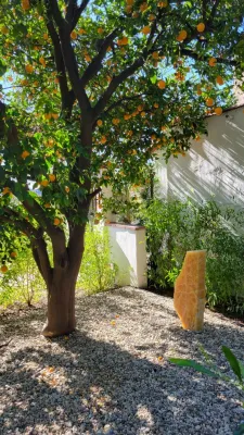 Green Landscape Designs - Landscape Design in Los Angeles, CA