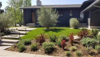 Brentwood Mid-Century Modern Remodel - Landscape Design — Landscape Design project by Green Landscape Designs in Los Angeles