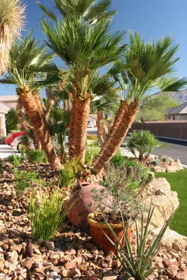 Green Planet Landscaping Pools & Spa - Garden Remodeling in Las Vegas, NV
