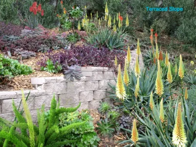 Actual Art Landscape Design - Landscape Design in Santa Barbara, CA