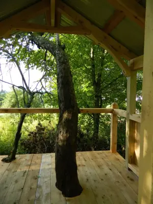 Fruit Tree Cottage — Home Renovation & Remodeling Services project by Holistic Building LLC