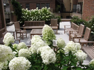 Greenblott Design - Landscape Design in Palo Alto, CA