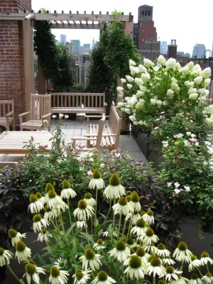 Greenblott Design - Landscape Design in Palo Alto, CA