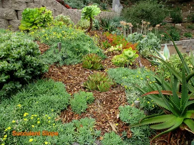 Actual Art Landscape Design - Landscape Design in Santa Barbara, CA