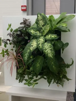Showroom — Landscape Design project by GreenCascade