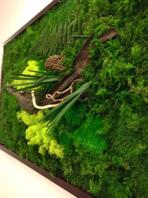 Phytodesign — Landscape Design project by GreenCascade