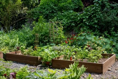 Greenery NYC Garden Design - Landscape Design in Brooklyn, NY