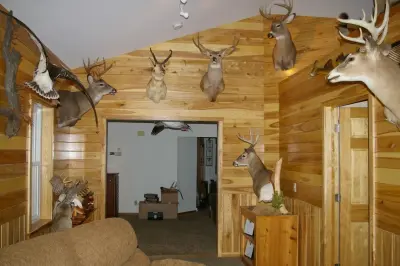 Aspen Boxcar Siding and Beam Construction — Home Renovation & Remodeling Services project by Byrnes Custom Construction