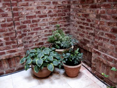 Greenery NYC Garden Design - Landscape Design in Brooklyn, NY