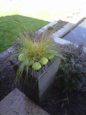 Greenlife Gardens - Landscape Maintenance in Papillion, NE