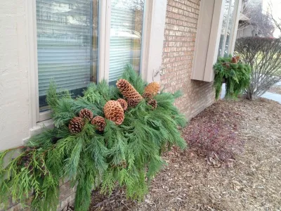 Winter Containers — Landscape Design project by Greenlife Gardens