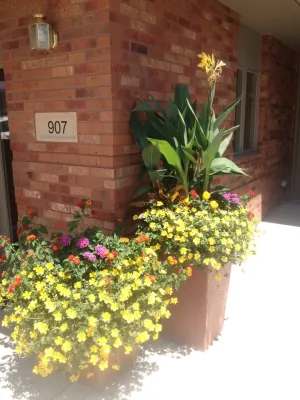 Greenlife Gardens - Landscape Maintenance in Papillion, NE