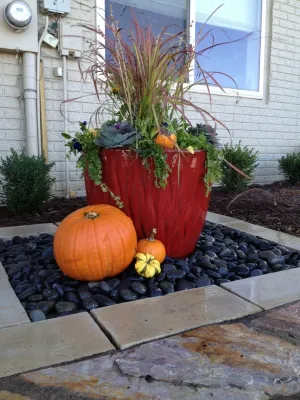 Greenlife Gardens - Landscape Maintenance in Papillion, NE