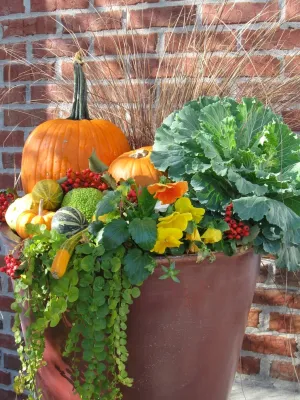 Fall Containers — Landscape Design project by Greenlife Gardens
