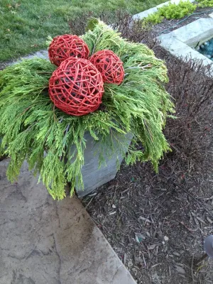 Greenlife Gardens - Landscape Maintenance in Papillion, NE