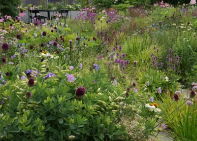 Adam Woodruff LLC - Landscape Design in Marblehead, MA