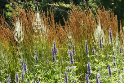 Adam Woodruff LLC - Landscape Design in Marblehead, MA