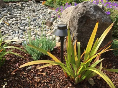 Redwood City Zen — Landscape Design project by Greensleeves Garden Design