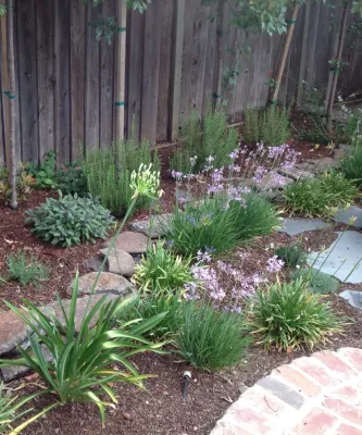 Cottage Garden, Los Altos — Landscape Design project by Greensleeves Garden Design