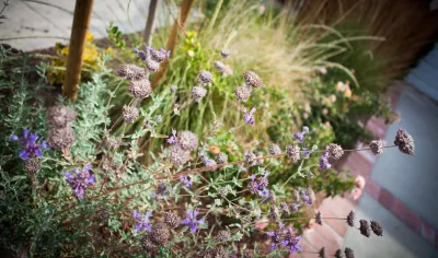 Greenwood Design Associates, LLC - Landscape Design in la Honda, CA