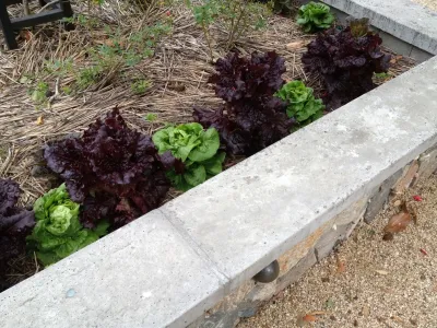 Greenwood Design Associates, LLC - Landscape Design in la Honda, CA