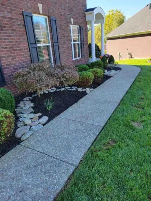 Alberto Alavez Professional Lawn Services LLC 6 — Landscape Construction project by Alberto Alavez Professional Lawn Services LLC