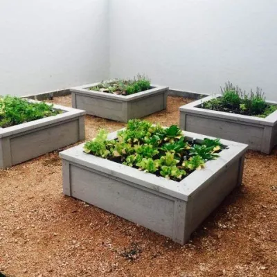 Modern Back Yard in Houston, TX — Landscape Design project by Gregory/Henry Landscapes