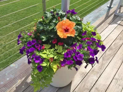Seasonal Color — Landscape Design project by Gro Pro Landscape Company Inc.