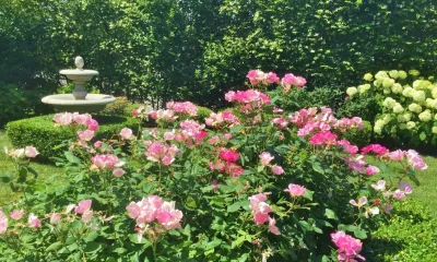 Gro Pro Landscape Company Inc. - Outdoor Lighting Installation in Old Greenwich, CT