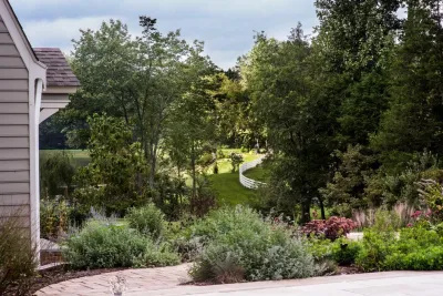 Shady Lawn — Landscape Design project by Grounded
