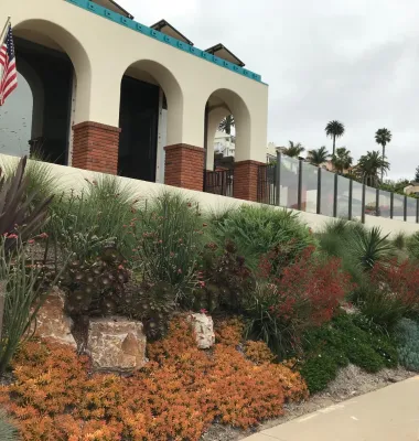 La Jolla Slope Planting by Groundswell Landscaping