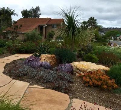 Groundswell Landscaping - Drip Irrigation System Installation in Encinitas, CA