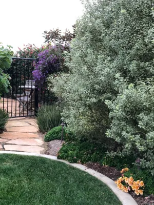 Groundswell Landscaping - Drip Irrigation System Installation in Encinitas, CA