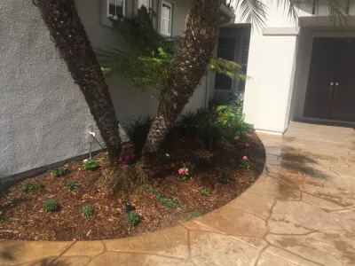 Encinitas Front Yard — Landscape Design project by Groundswell Landscaping in Encinitas