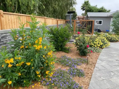 Mira Mesa Spacious Naturalistic — Landscape Design project by Groundswell Landscaping