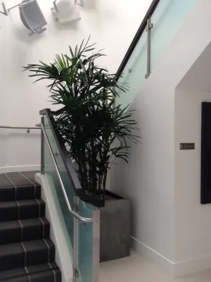 Growing Places Interior Landscape Inc. - Landscape Maintenance in Capistrano Beach, CA