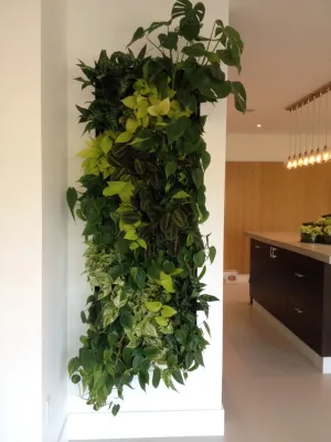 Growing Places Interior Landscape Inc. - Landscape Maintenance in Capistrano Beach, CA