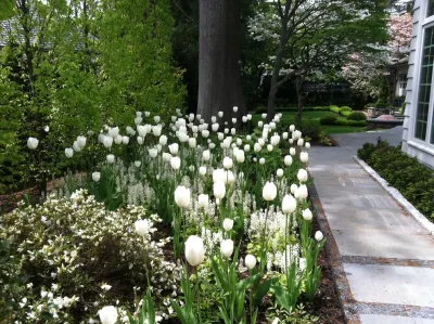 Blackstone Boulevard Residence — Landscape Design project by Hali Beckman, Ltd.