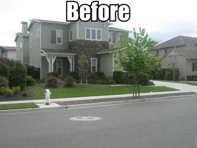 Santa Rosa Drought Tolerant Lawn Replacement by Hall Landscape Design