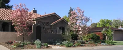Sebastopol Lawn Replacement — Landscape Design project by Hall Landscape Design
