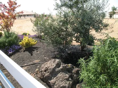 Santa Rosa Full Backyard & Front Yard Design by Hall Landscape Design