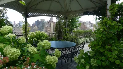 Halsted Welles Associates - Tree & Shrub Care in Brooklyn, NY