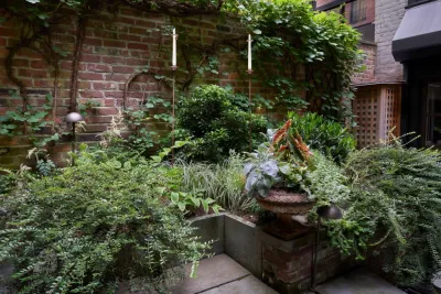 Halsted Welles Associates - Tree & Shrub Care in Brooklyn, NY