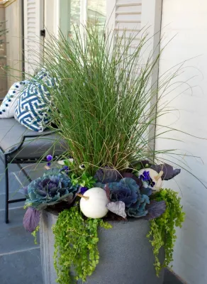 Adorn - Landscape Design in Oklahoma City, OK