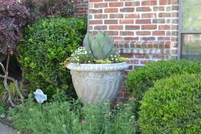 Planters by Happy Gardens