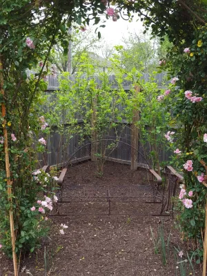 Natural front and back yard landscaping by Happy Gardens