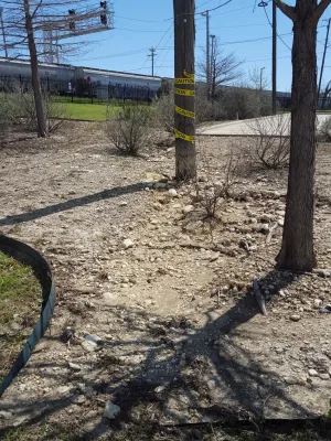 Drought tolerant landscaping with dry creek bed by Happy Gardens