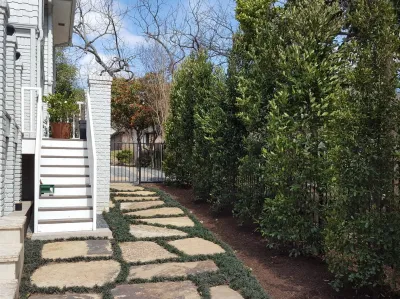 Clean lines backyard landscaping by Happy Gardens