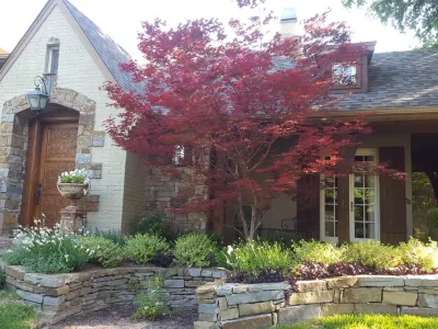Front yard landscaping by Happy Gardens
